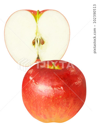 真實觸摸蘋果插畫 真實觸摸蘋果插畫 102390513