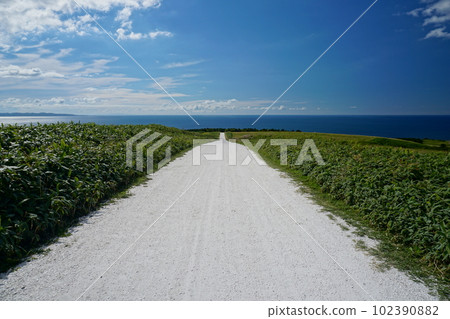 一條白路延伸到藍天碧海白雲的風景Ver2 一條白路延伸到藍天碧海白雲的風景Ver2 102390882