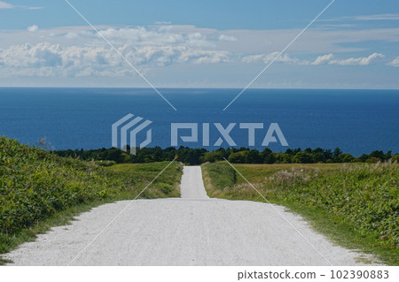 白色的道路延伸到藍天白雲碧海的風景Ver3 白色的道路延伸到藍天白雲碧海的風景Ver3 102390883