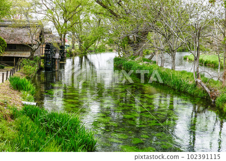 Fresh green spring water and water mill Fresh green spring water and water mill 102391115