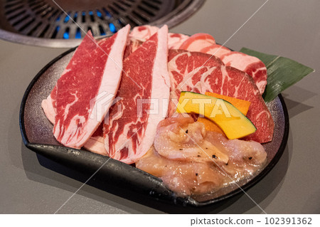 Grilled meat Grilled meat 102391362