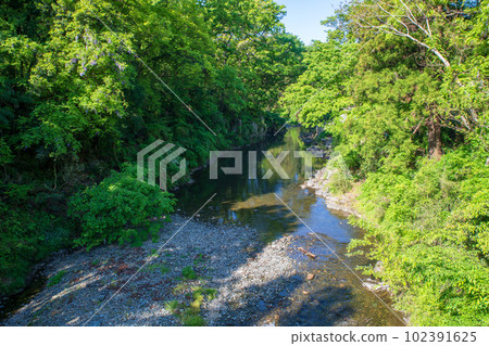 The view from the Tanigawa Bridge on the Tsukigawa River near the Arashiyama Valley The scenery of fresh greenery The view from the Tanigawa Bridge on the Tsukigawa River near the Arashiyama Valley The scenery of fresh greenery 102391625