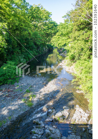 The view from the Tanigawa Bridge on the Tsukigawa River near the Arashiyama Valley The scenery of fresh greenery The view from the Tanigawa Bridge on the Tsukigawa River near the Arashiyama Valley The scenery of fresh greenery 102391640