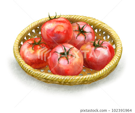 竹漏勺中的新鮮西紅柿 102391964