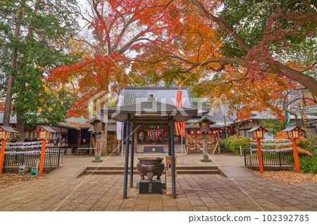Todoroki Fudoson (Myoou-in Temple) near Todoroki Valley in Setagaya, Tokyo in autumn Todoroki Fudoson (Myoou-in Temple) near Todoroki Valley in Setagaya, Tokyo in autumn 102392785