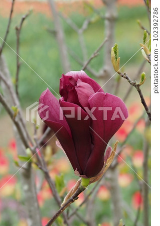 Wooden column flowers Wooden column flowers 102392786