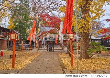Todoroki Fudoson (Myoou-in Temple) near Todoroki Valley in Setagaya, Tokyo in autumn 102392787