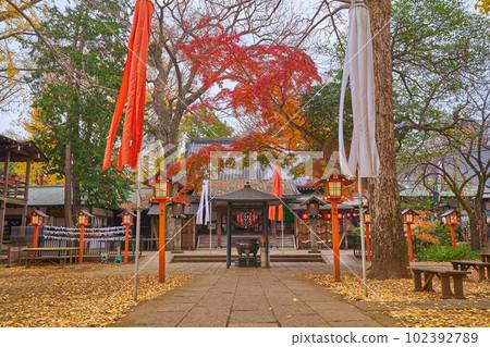 Todoroki Fudoson (Myoou-in Temple) near Todoroki Valley in Setagaya, Tokyo in autumn 102392789