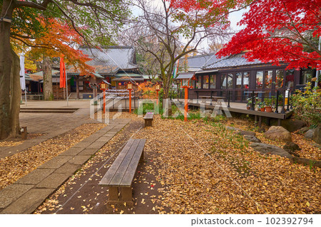 東京世田谷 Todoroki 山谷附近的 Todoroki Fudoson（Myoou-in 寺）和茶館 102392794