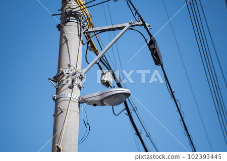 Telephone pole 102393445