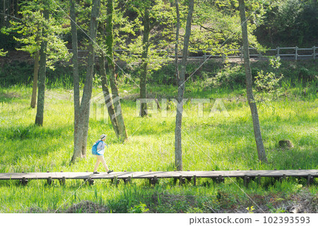 一個女人在新綠色中徒步旅行的照片 102393593