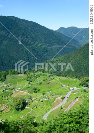 空中茶園(岐阜馬丘比丘) 空中茶園(岐阜馬丘比丘) 102394062