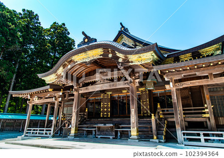 新潟彌彥神社~拜堂~ 新潟彌彥神社~拜堂~ 102394364