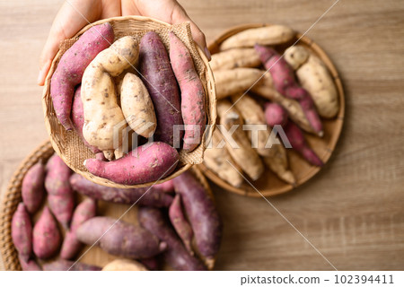 Organic Asian sweet potatoes in basket with hand on wooden background, Table top view 102394411