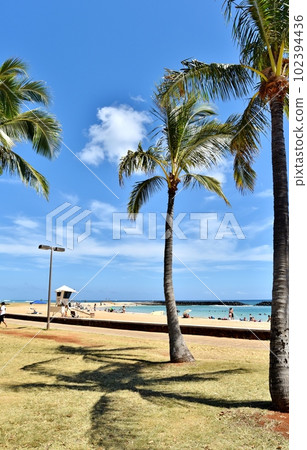 夏威夷的假期 夏威夷的假期 102394436