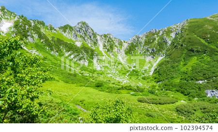 千疊敷捲曲(夏季) 千疊敷捲曲(夏季) 102394574
