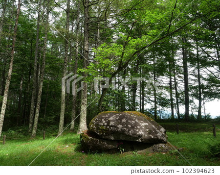 Naruishi Amekyotoge儀式遺址Tateshina Town 102394623
