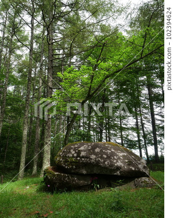 Naruishi Amekyotoge儀式遺址Tateshina Town 102394624