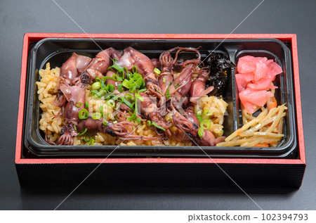 烤螢火蟲魷魚飯 烤螢火蟲魷魚飯 102394793