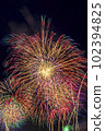 Fireworks Summer Festival 102394825