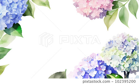 Hydrangea, Flower, Frame, Material, Background, Garden, Plant, Nature, Bouquet, Season, Beautiful, Mosquito 102395200