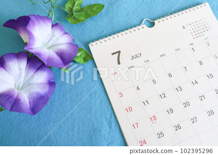 July calendar and morning glory 102395296