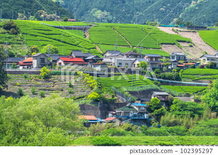 《Shizuoka Prefecture》A village of idyllic tea plantations 《Shizuoka Prefecture》A village of idyllic tea plantations 102395297