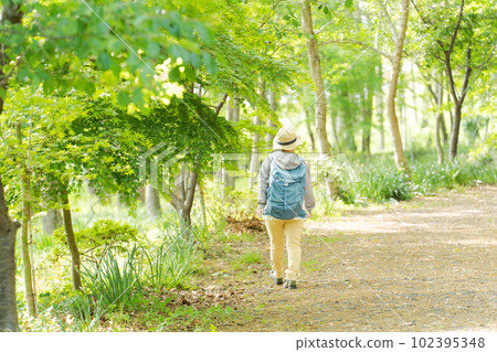 Back view photo of a senior woman walking in the mountains 102395348