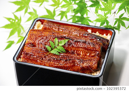 鰻魚料理 102395372