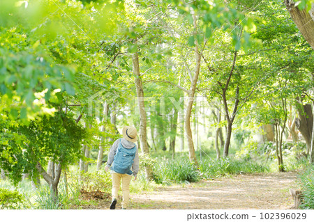 Photo of a senior woman hiking in fresh green Photo of a senior woman hiking in fresh green 102396029