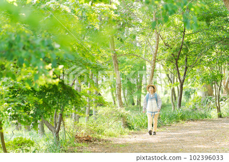 Photo of a senior woman hiking in fresh green Photo of a senior woman hiking in fresh green 102396033
