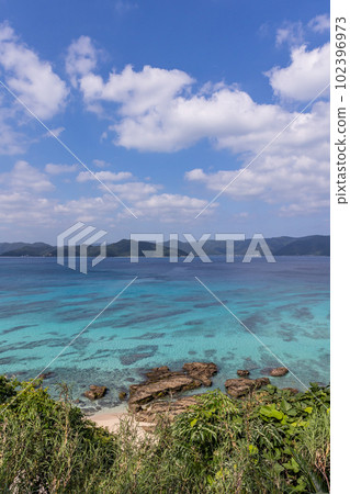 奄美大島S原海岸 102396973