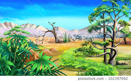 Plants in an oasis in the middle of the desert 102397092