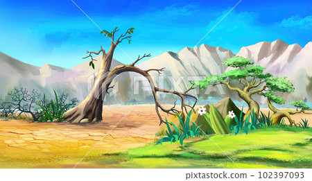 Plants in Africa at the foot of the mountains Plants in Africa at the foot of the mountains 102397093