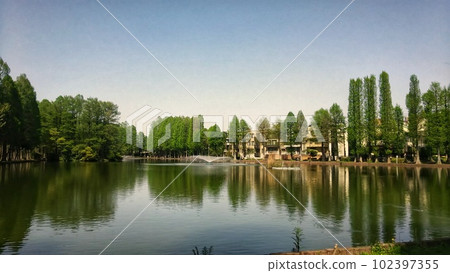 Altima Park in early summer 102397355