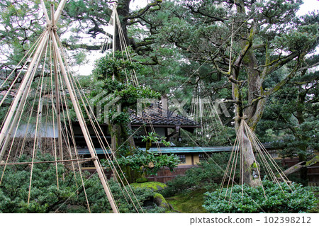 金澤兼六園清尊閣庭園 102398212