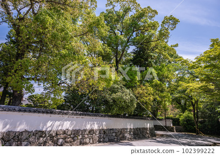 Scenery of Sakamoto, Otsu City Fresh green trees covering white walls 102399222