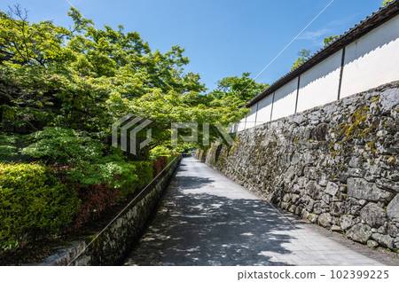Scenery of Sakamoto, Otsu city Fresh green trees 102399225