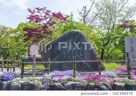 長岡天滿宮神社須賀甲賀碑（京都府長岡京市） 102399370