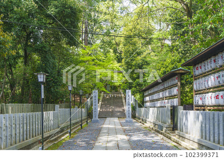 Nagaoka Tenmangu Shrine Second torii ruins Approach to the shrine surrounded by fresh greenery (Nagaokakyo City, Kyoto Prefecture) Nagaoka Tenmangu Shrine Second torii ruins Approach to the shrine surrounded by fresh greenery (Nagaokakyo City, Kyoto Prefecture) 102399371