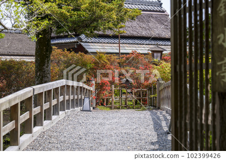 Nagaoka Tenmangu Shrine Kinsuitei Garden Entrance (Nagaokakyo City, Kyoto Prefecture) Nagaoka Tenmangu Shrine Kinsuitei Garden Entrance (Nagaokakyo City, Kyoto Prefecture) 102399426
