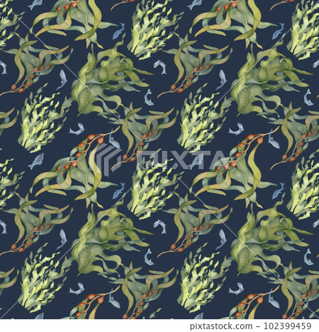Seamless pattern of colorful sea plants watercolor illustration isolated on black. Laminaria, kelp, herb seaweeds hand drawn. Design for background, textile, packaging, wrapping, marine collection Seamless pattern of colorful sea plants watercolor illustration isolated on black. Laminaria, kelp, herb seaweeds hand drawn. Design for background, textile, packaging, wrapping, marine collection 102399459
