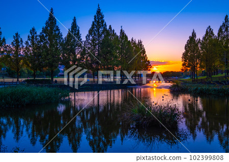 內上川防洪綠地的日落 102399808