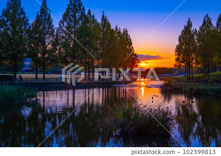 內上川防洪綠地的日落 102399813
