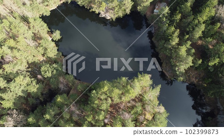Lake surrounded by trees. Beautiful landscape in aerial drone shot. 102399873