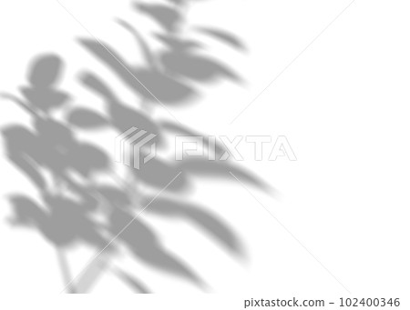 Shadow from plants, leaves, overlay effect. Realistic gray shadow on white background. Applicable for product presentation, photos, backdrop. Sun light. 3D render. 102400346