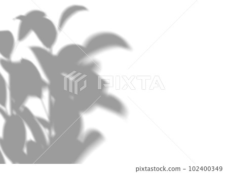 Shadow from plants, leaves, overlay effect. Realistic gray shadow on white background. Applicable for product presentation, photos, backdrop. Sun light. 3D render. Shadow from plants, leaves, overlay effect. Realistic gray shadow on white background. Applicable for product presentation, photos, backdrop. Sun light. 3D render. 102400349