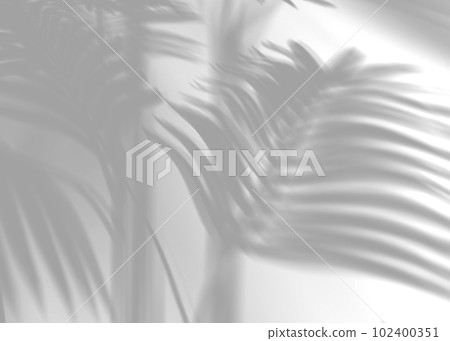 Shadow from palm leaves, overlay effect. Realistic gray shadow on white background. Applicable for product presentation, photos, backdrop. Sun light. 3D render. 102400351