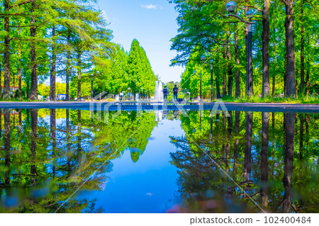 Tsurumi Ryokuchi Water Mirror Tree-lined Road 102400484