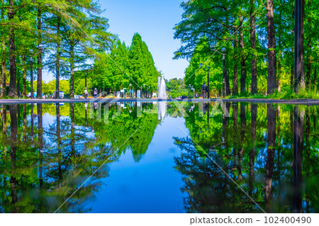 Tsurumi Ryokuchi Water Mirror Tree-lined Road 102400490